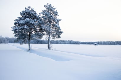 Viikko alkaa Oulussa lauhana – Lunta voi sataa toistakymmentä senttiä