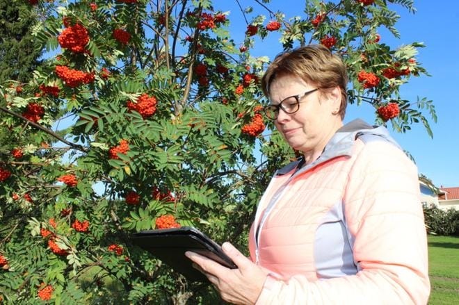 Eläkeliiton Isojoen yhdistyksen puheenjohtaja Pirjo-Liisa Ketola Vanhastakylästä tietää, etteivät kaikki ole netin käyttäjiä ja opastusta tarvitaan. KUVA: MINNA ZILLIACUS