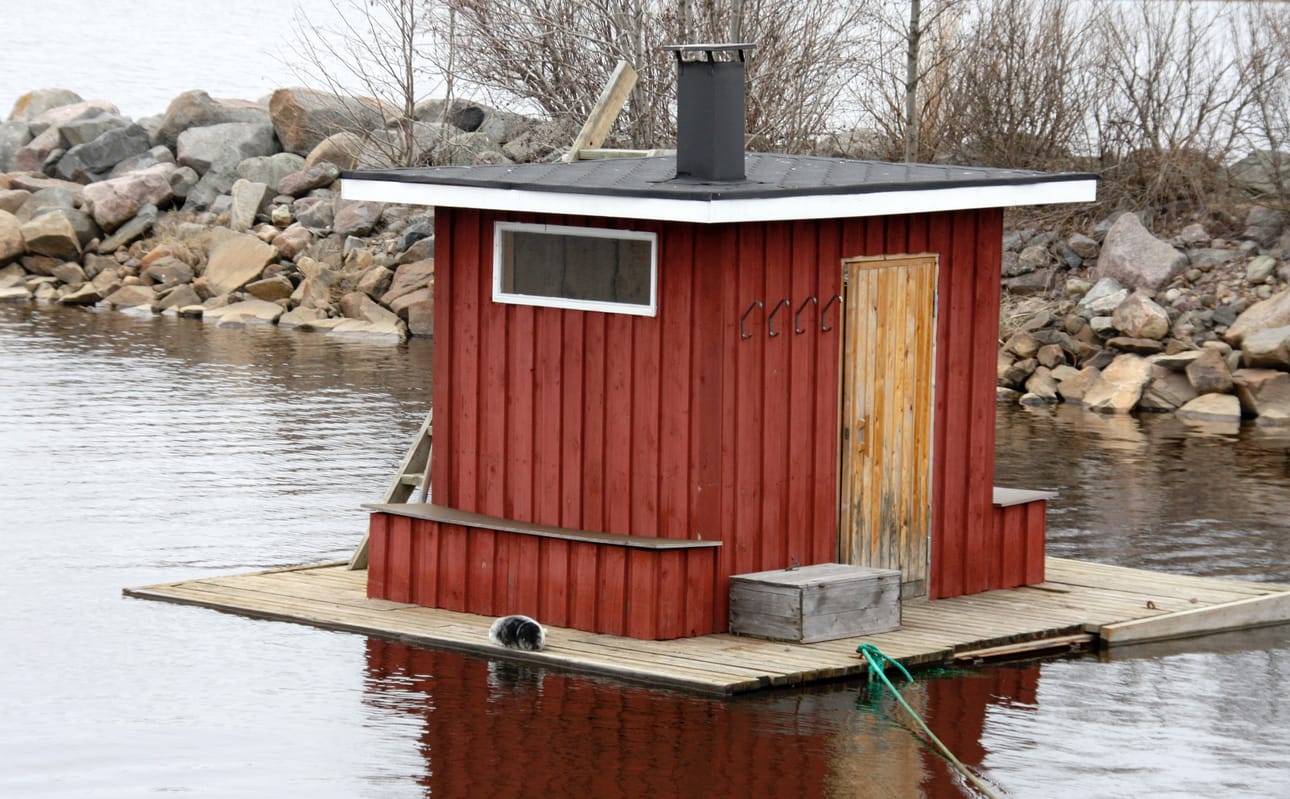Poika-kuutti on kesyyntynyt ja lepäilee kaikessa rauhassa satama-altaassa kelluvan rakennuksen terassilla.