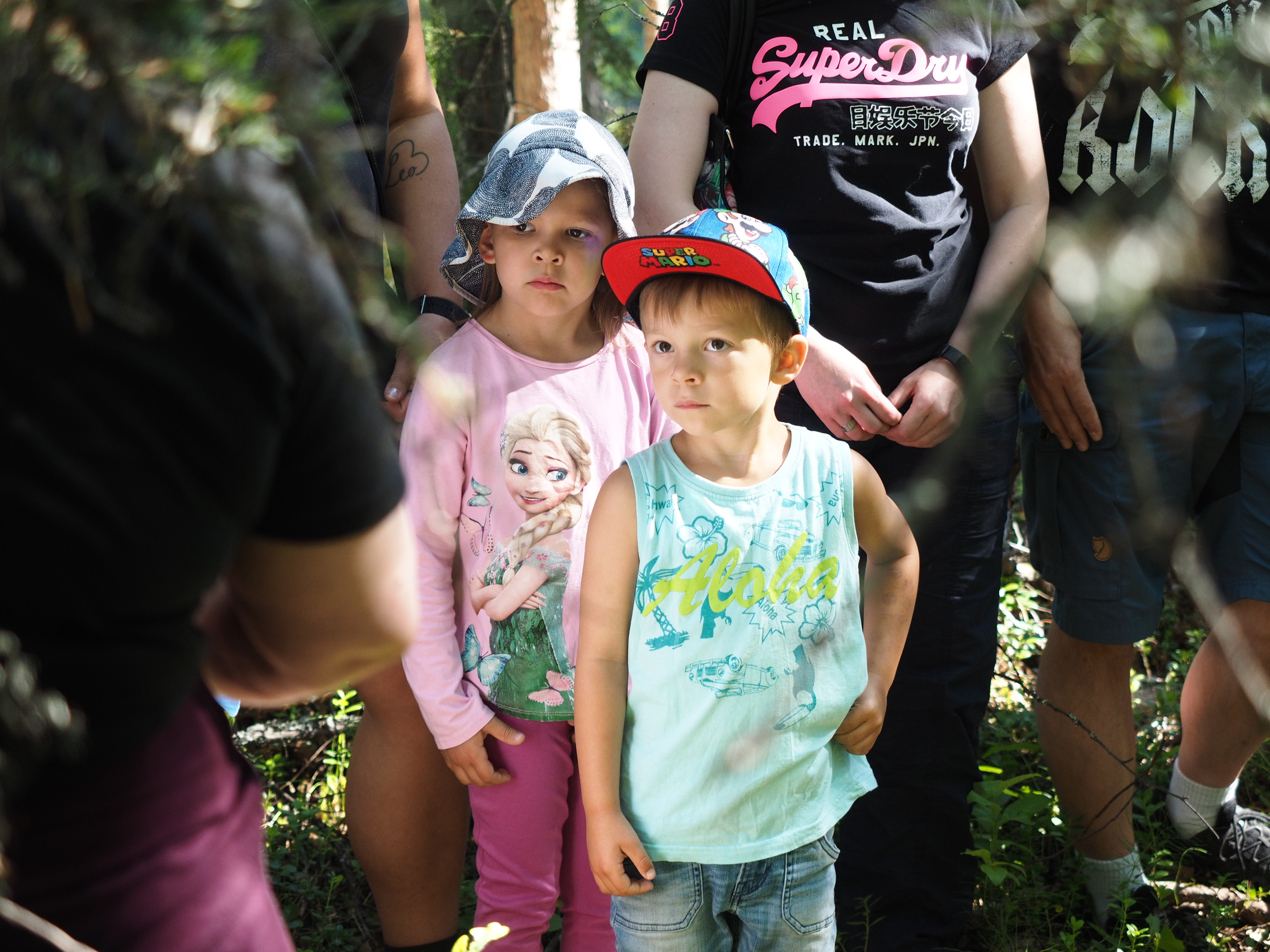 Luonto-opas Riitan mukaan kataja viihtyy virtaavan veden lähellä.