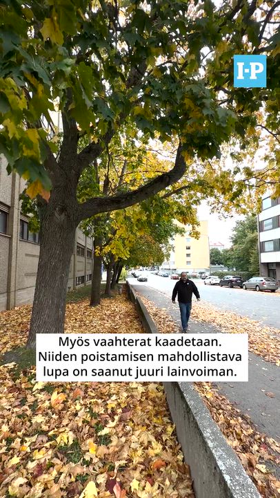 Vanhan tie­de­kir­jas­ton purku alkaa lä­hi­päi­vi­nä