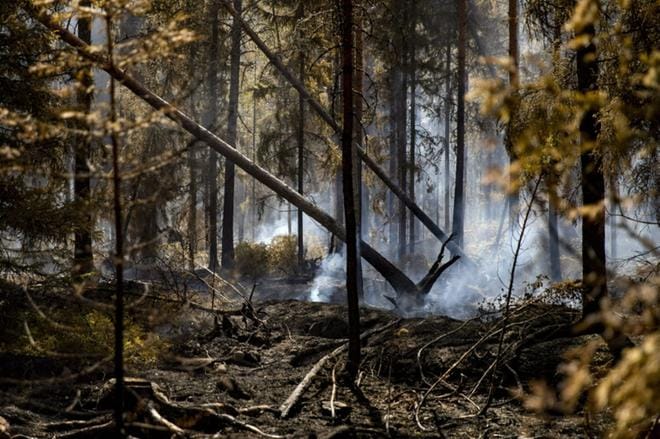 Metsäpalot voivat syttyä nyt helposti, joten avotulen tekeminen on laajalla alueella kielletty. Arkistokuva Pyhärannan metsäpaloista viime viikolta. KUVA: