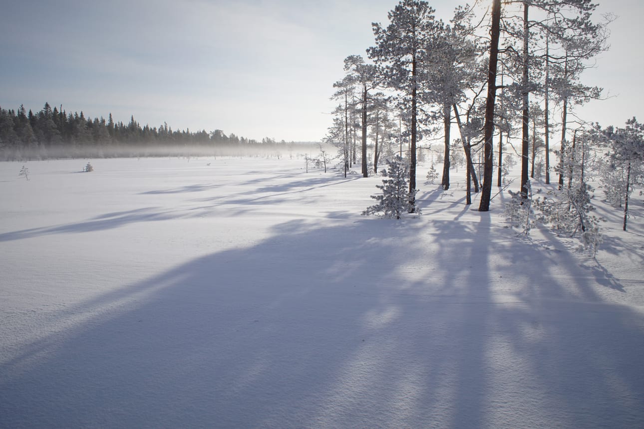 Kirjoittajan mielestä umpihankiihdossa on luovuutta. Mielipidekirjoituksessa pohditaan hiihdon merkitystä suomalaisille, sen historiaa ja vaikutusta hyvinvointiin.