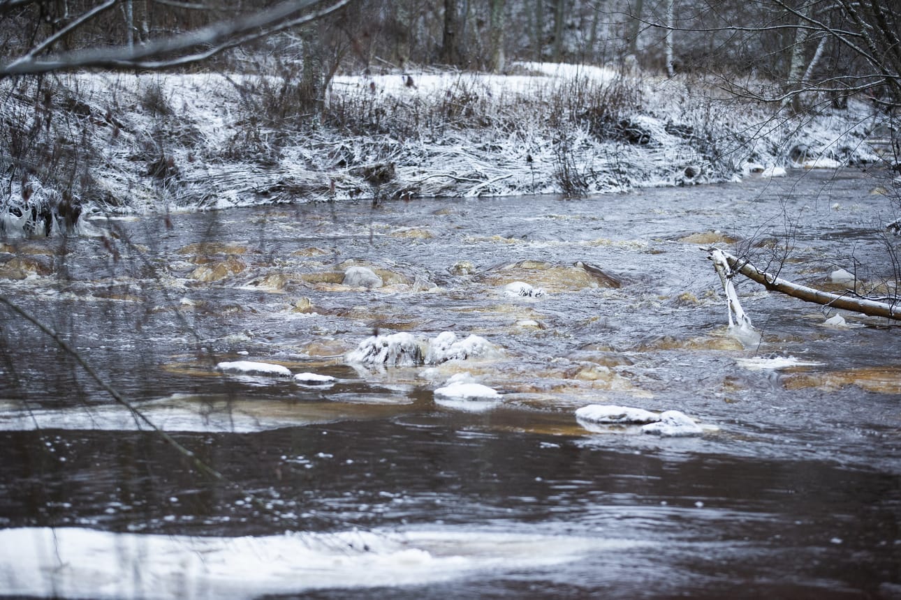 Raahen Pattijoki tulvi hyyteen vuoksi vuonna 2020. Arkistokuva.