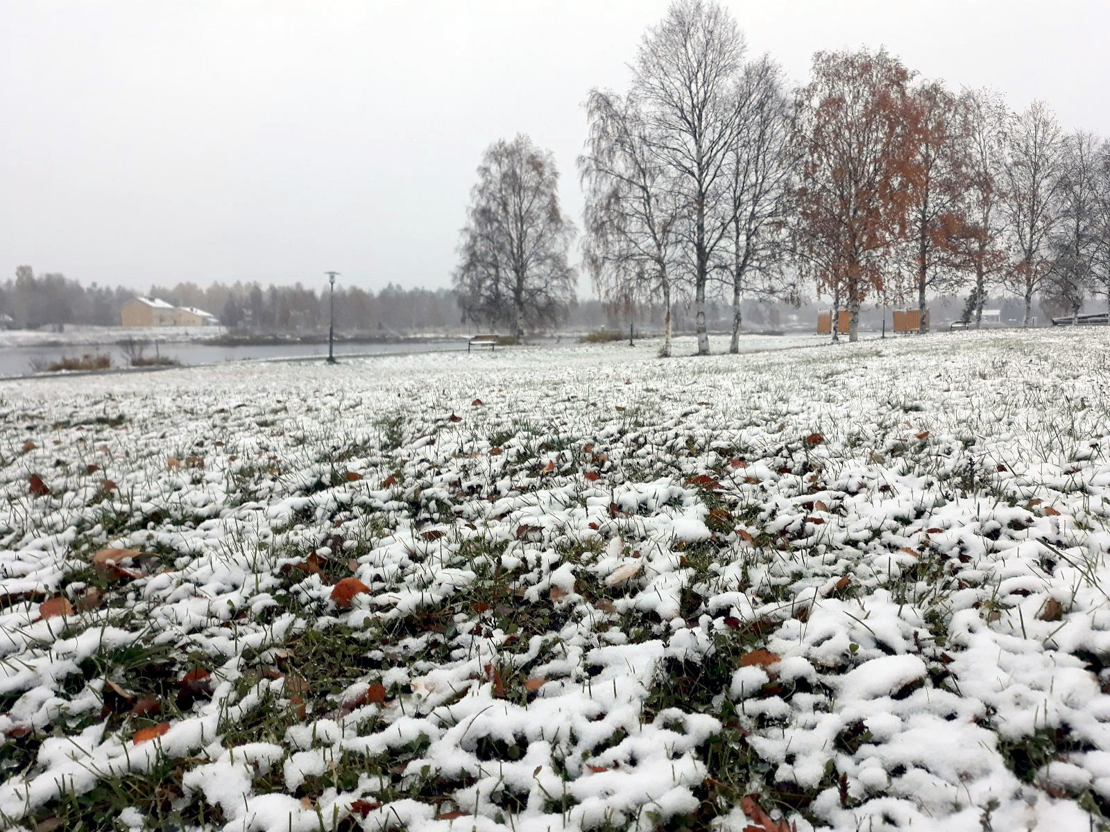 Kurenalla herättiin keskiviikkona valkoiseen aamuun. Loskainen lumipeite peitti maan yhdeksän aikaan aamulla Rajamaanrannassa. 