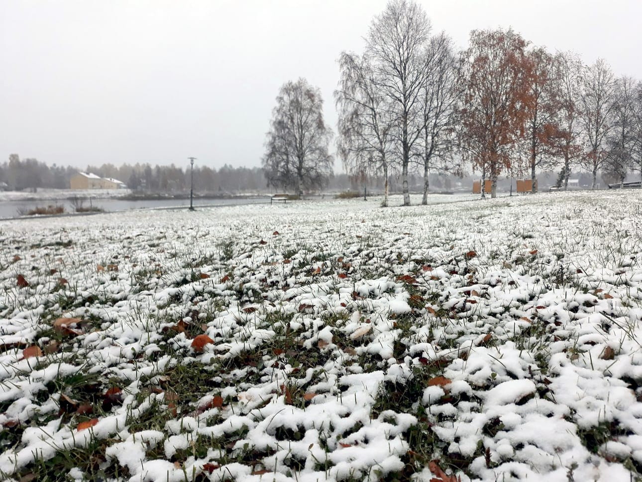 Kurenalla herättiin keskiviikkona valkoiseen aamuun. Loskainen lumipeite peitti maan yhdeksän aikaan aamulla Rajamaanrannassa.