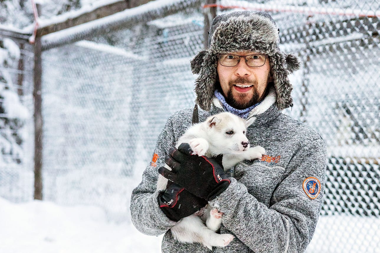 Perheyritys Rami's Huskiesin yrittäjä Rami Kulppi ja yrityksen koiralauman jäsen. Lauman tuoreimmat tulokkaat ovat vasta muutaman viikon vanhoja.