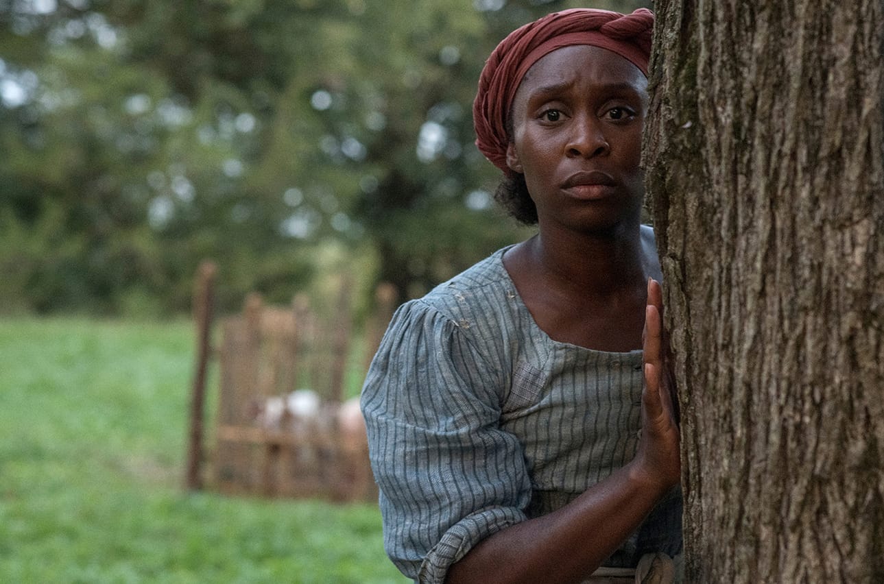 Poikkeuksellinen tarina Harriet Tubmanin pakenemisesta orjuudesta ja muuttumisesta yhdeksi Amerikan suurimmista sankareista.