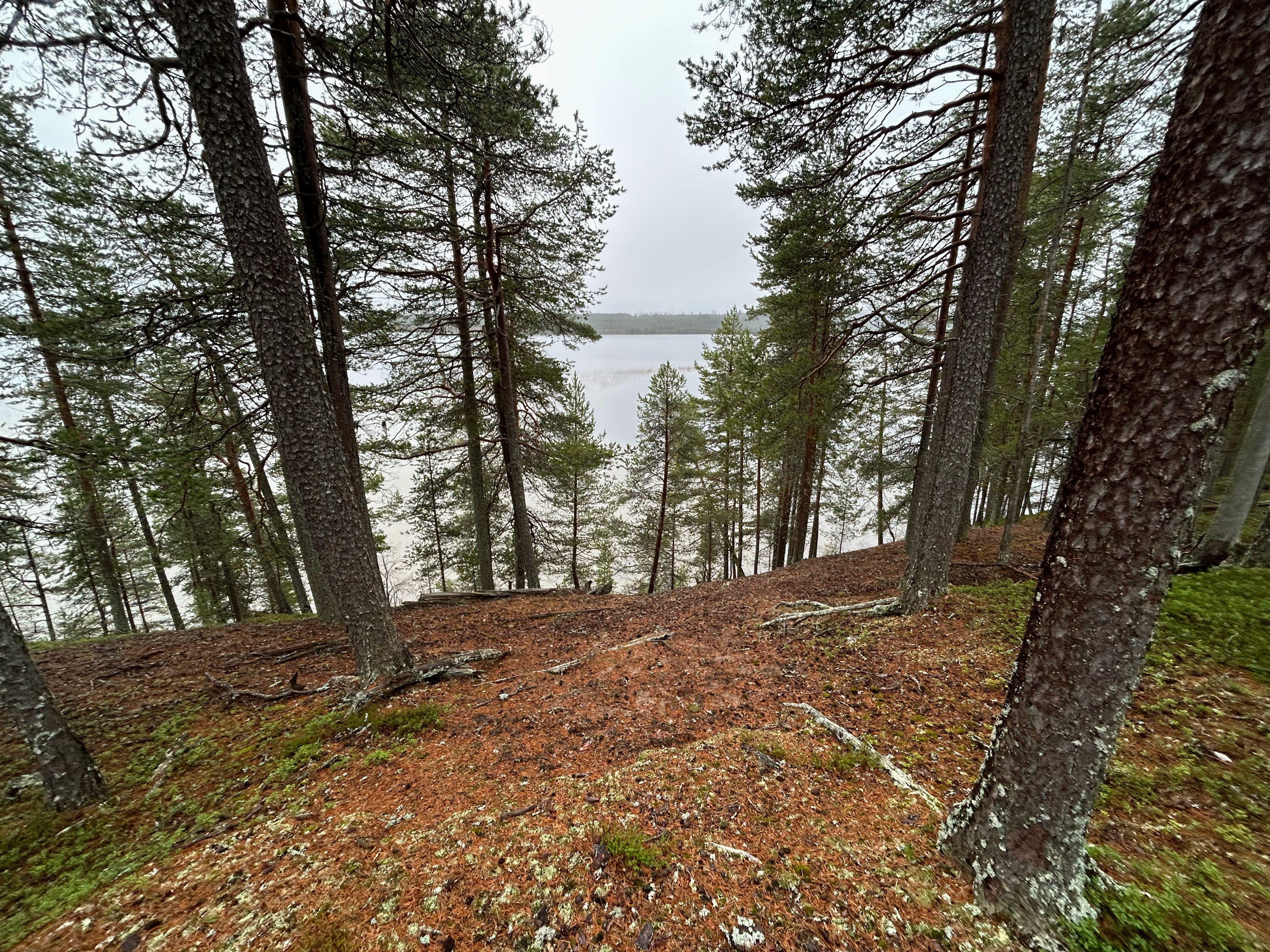 Harjun laelta ei ole esteetöntä näkymää järvelle puiden lävitse. Törmä on kuitenkin jyrkkä, eikä rantaan kannata yrittää kavuta.