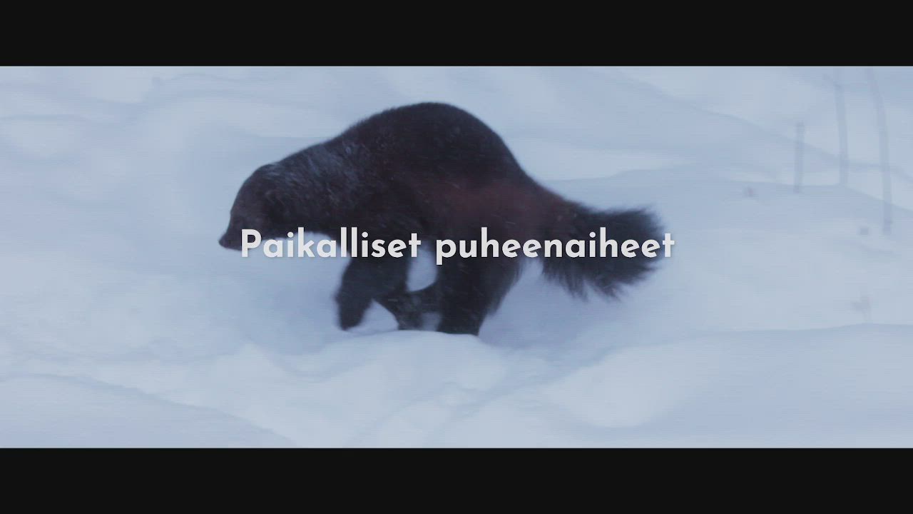 Lapin Kansa ja Ailo