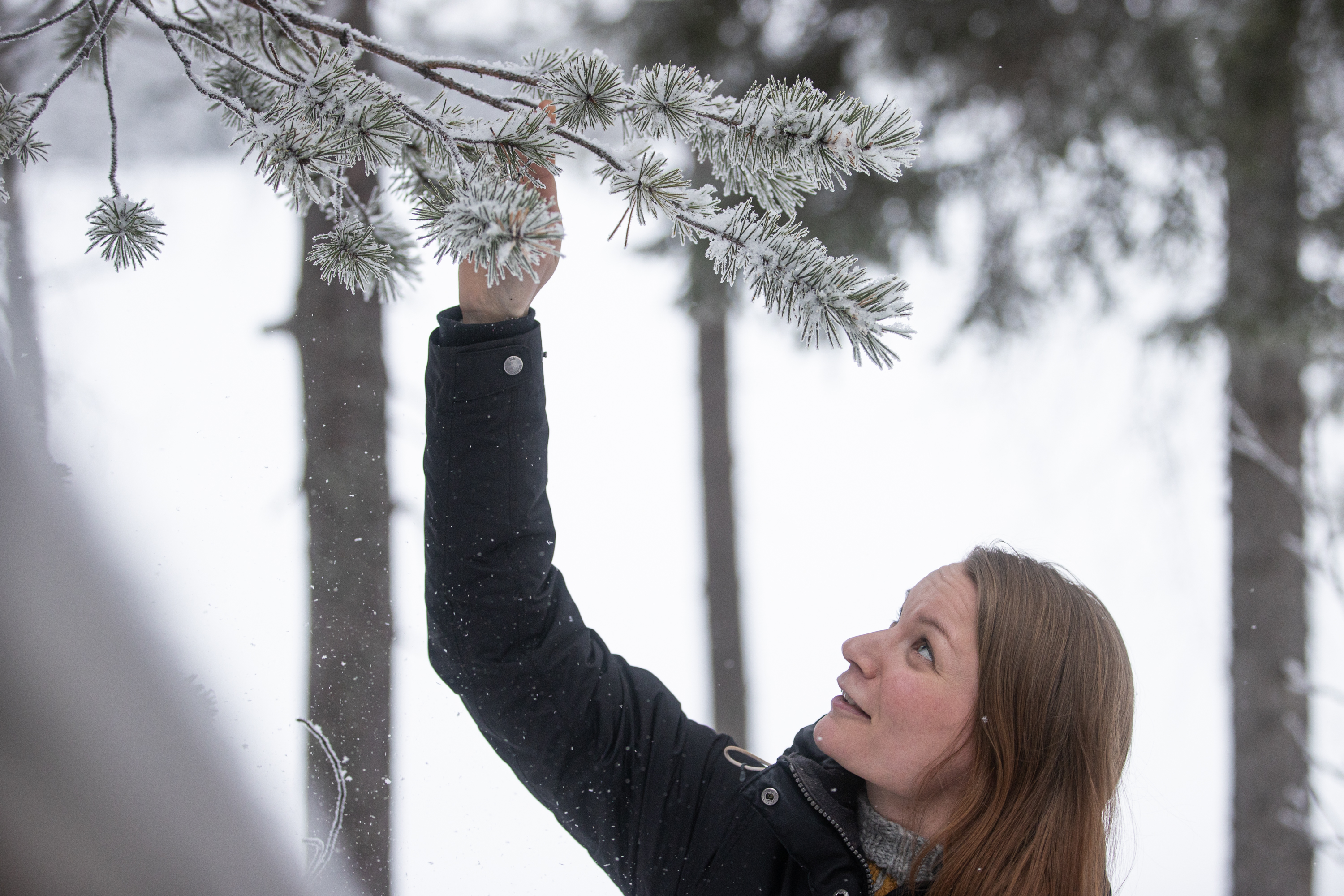 Hoitaminen kutsuu Annea – Anne Sarajärvi on koulutettu yrttihoitaja ja luonnonvaratuottaja, nyt hän aloittaa hoidot Filiassa