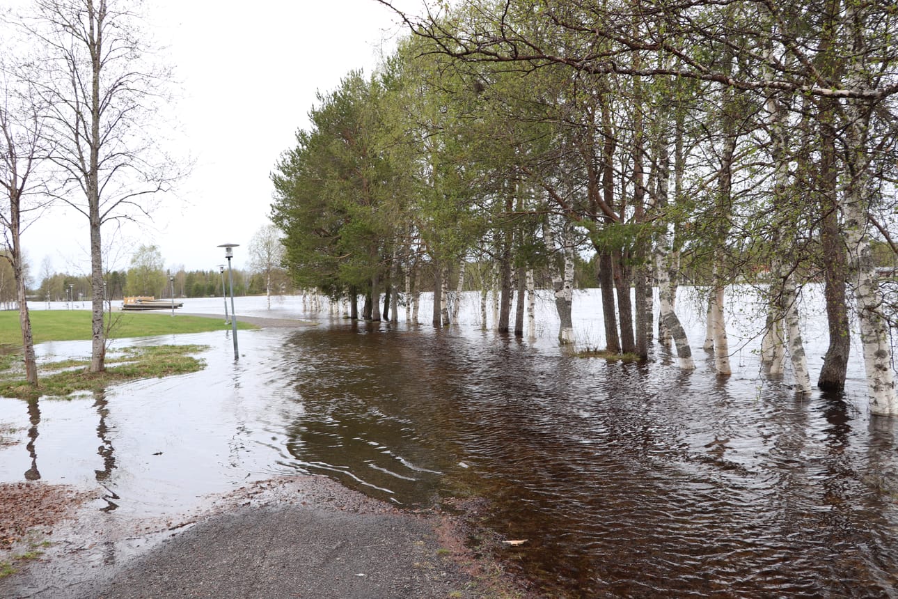 Iijoen Rajamaanranta 27.5.2020..