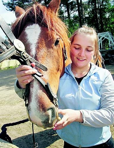 Iin Ylirannalla asusteleva Hannan-Tähti saa länget kaulalle, kun on tiedossa vierailijaryhmän ajeluttamista. Kesällä kuljetaan kärryillä ja talvella reellä. "Hanna on tosi luotettava maastossa", kehuu Hann