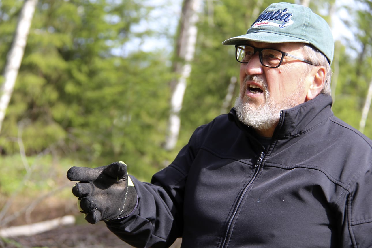 Kärsämäkinen Teuvo Marttila on saanut sadat kärsämäkiset innostumaan metsäperunasta. Marttila teki tekoälyn avulla metsäperuna-aiheisen laulunkin!