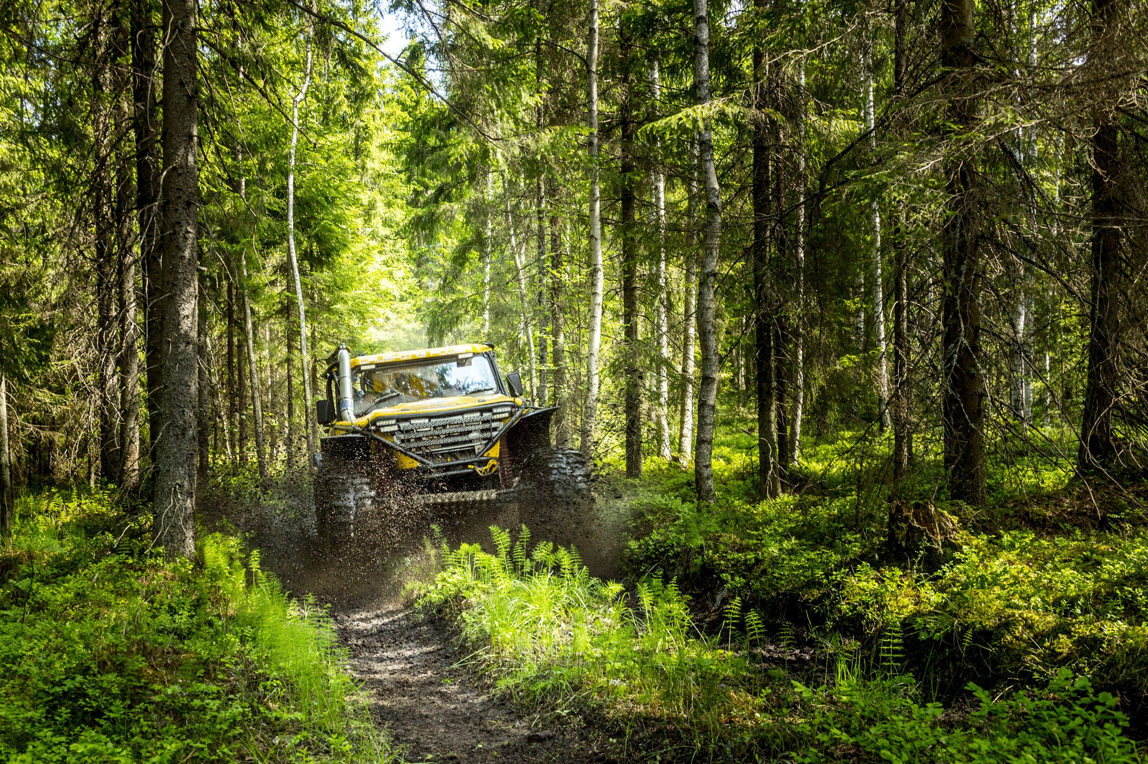 Mihin tahansa metsään ei saa mennä ajamaan offroadia. Tässä ollaan tutun harrastajan mailla.