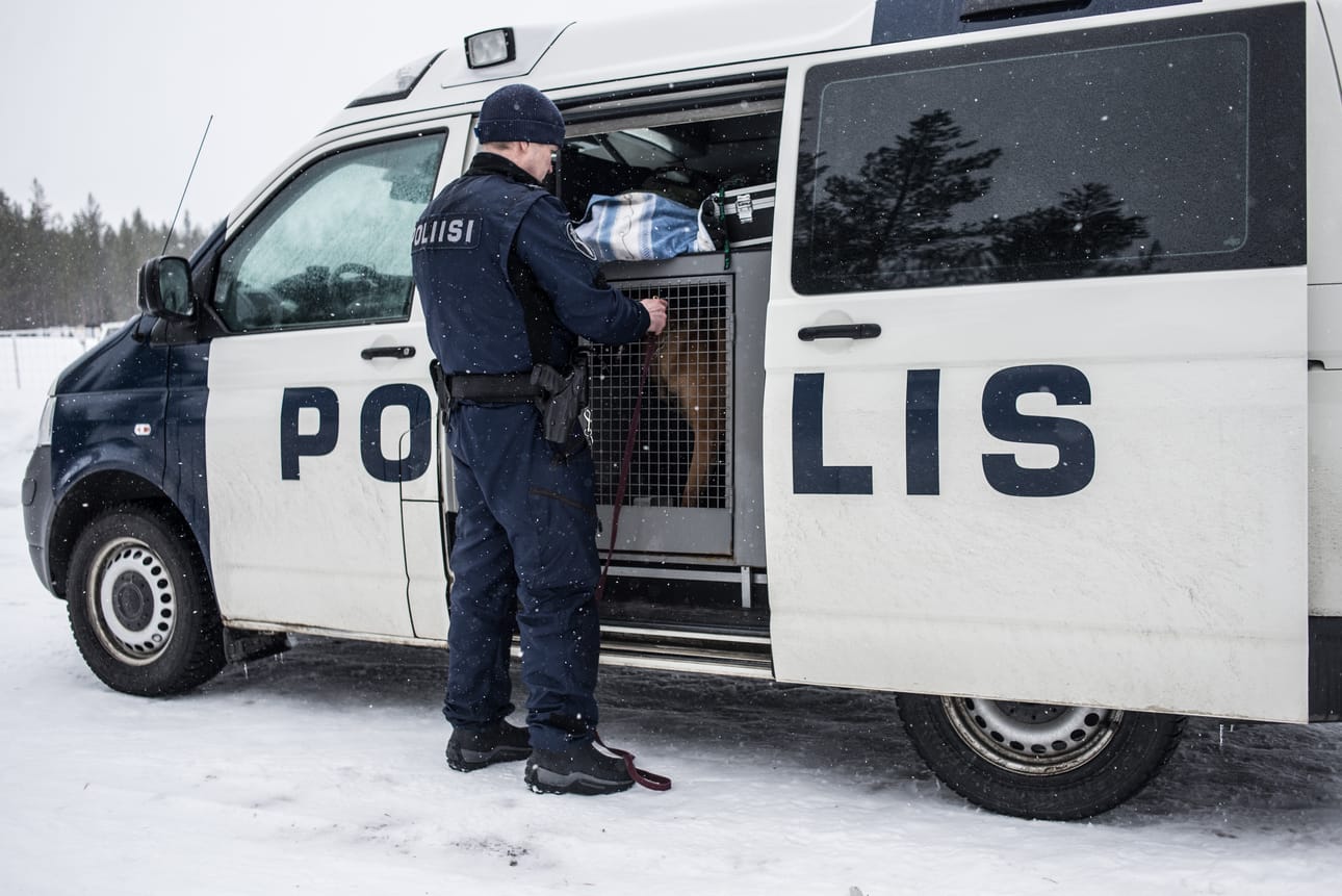 Väkivalta- , omaisuus- ja huumerikosten määrä väheni, mutta kotihälytystehtävien määrä on Koillismaalla kasvanut.