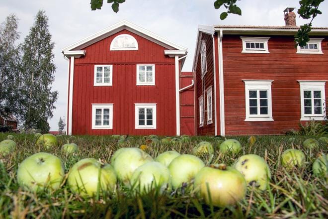 Ruokamessut järjestettiin nyt 31. kerran Hämes-Havusessa Kauhajoella. Arkistokuva.