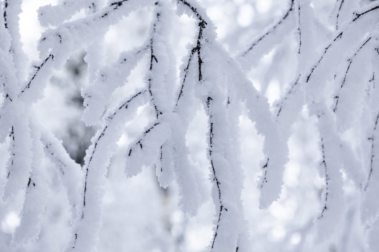 Tämän talven kylmin lämpötila Oulussa mitattiin lentoasemalla 10. tammikuuta -29 astetta,