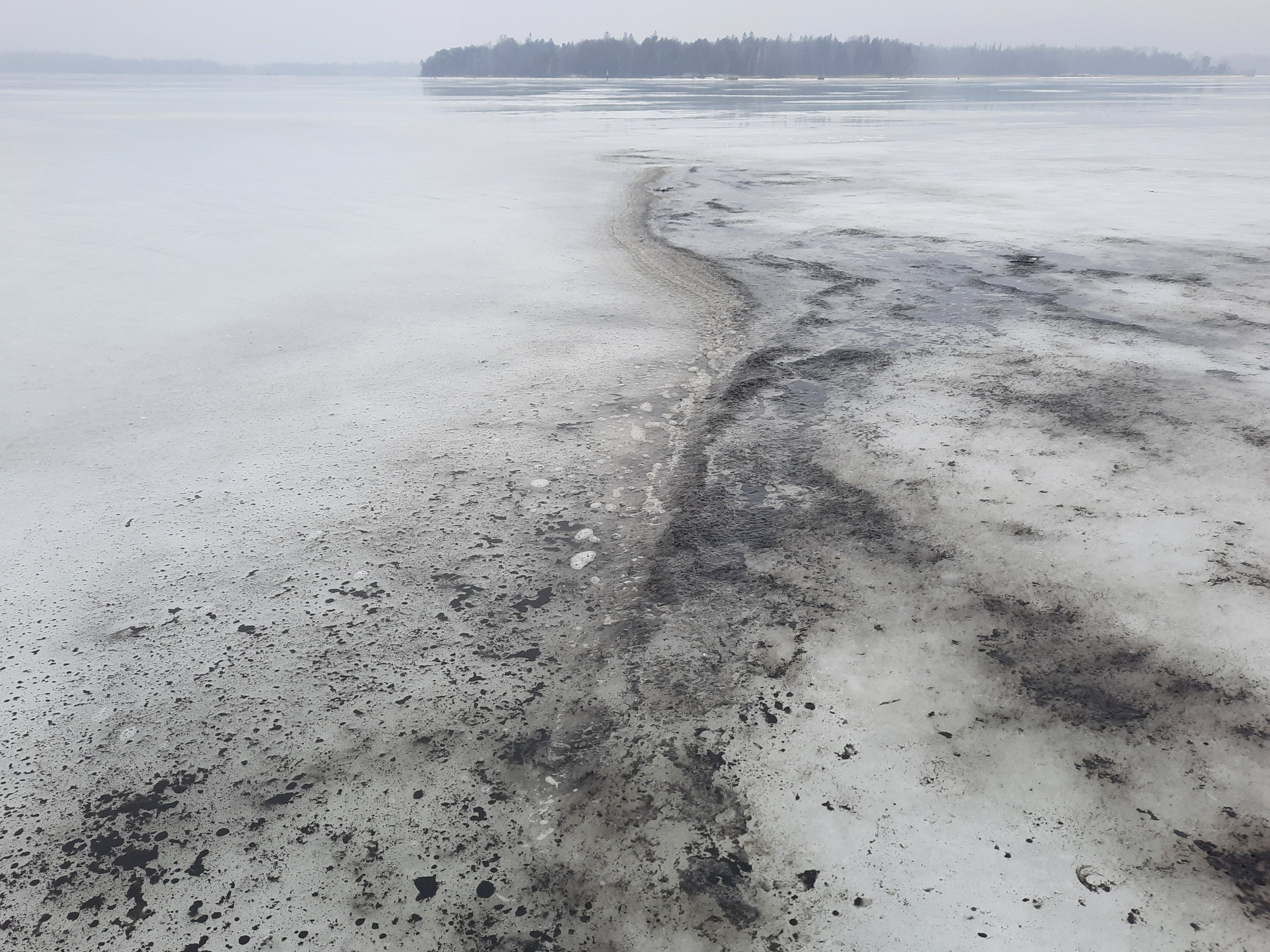 Talvikalastajien ei tarvitse huolehtia avantoihin ilmestyneestä mustasta mönjästä