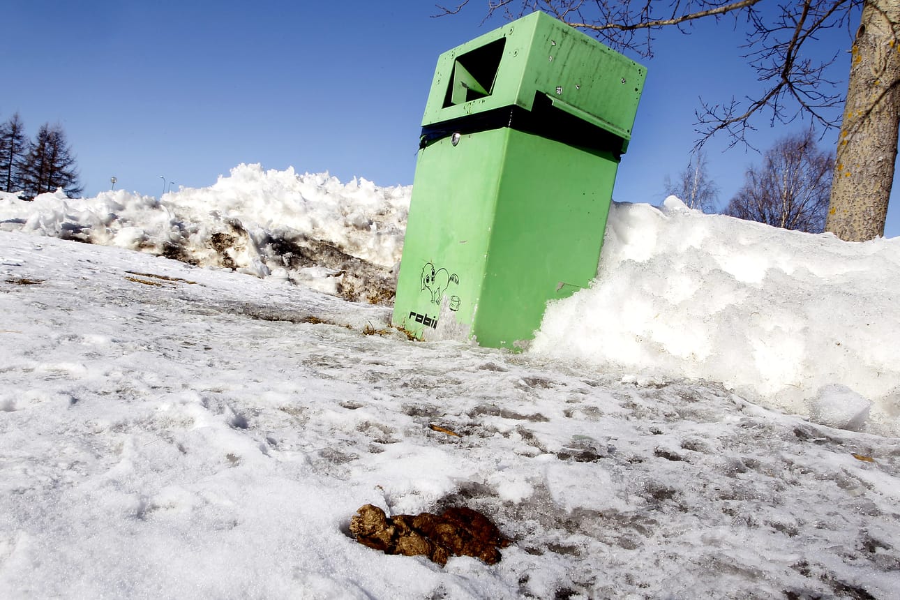 Taajama-alueella koirankakan paikka on roskiksessa, ei maahan jätettynä.