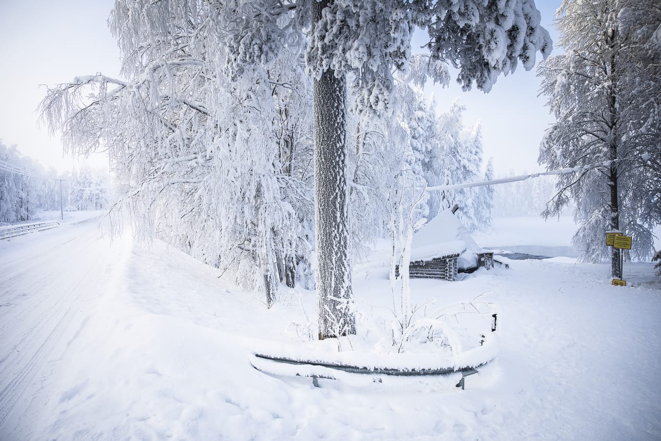 Misin kyläyhdistyksen ylläpitämä laavu sijaitsee aivan Misintien varrella. Pääsy laavulle on helppoa.