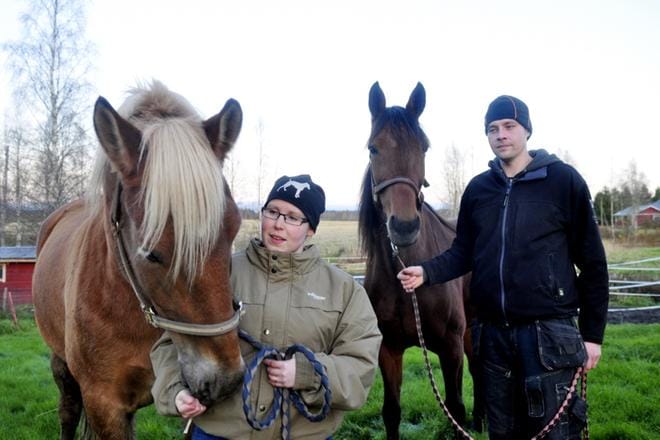 Heidi-Maria Heikkilän ja Ville Ala-Lantelan tallissa valmennetaan kahta nuorta ravuria. Meleko Noppee (vas) on heidän omansa, Step Up American Petri Koskenmäen. KUVA: MINNA SALORANTA