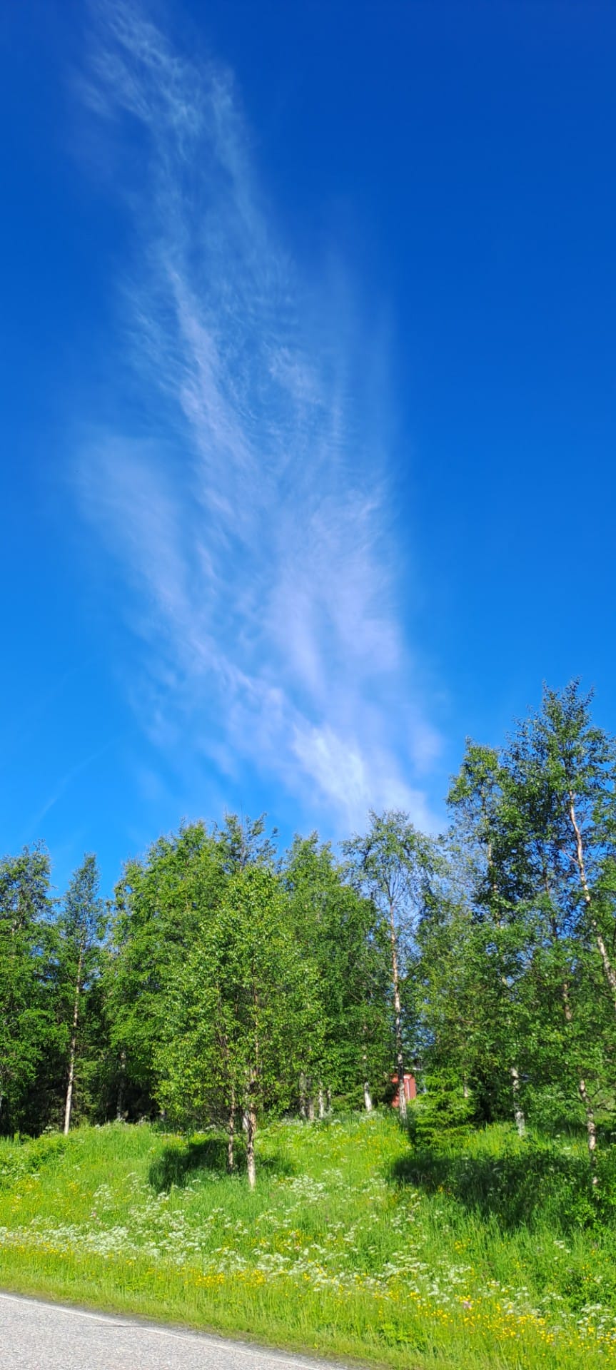 Höyhenpilvi.