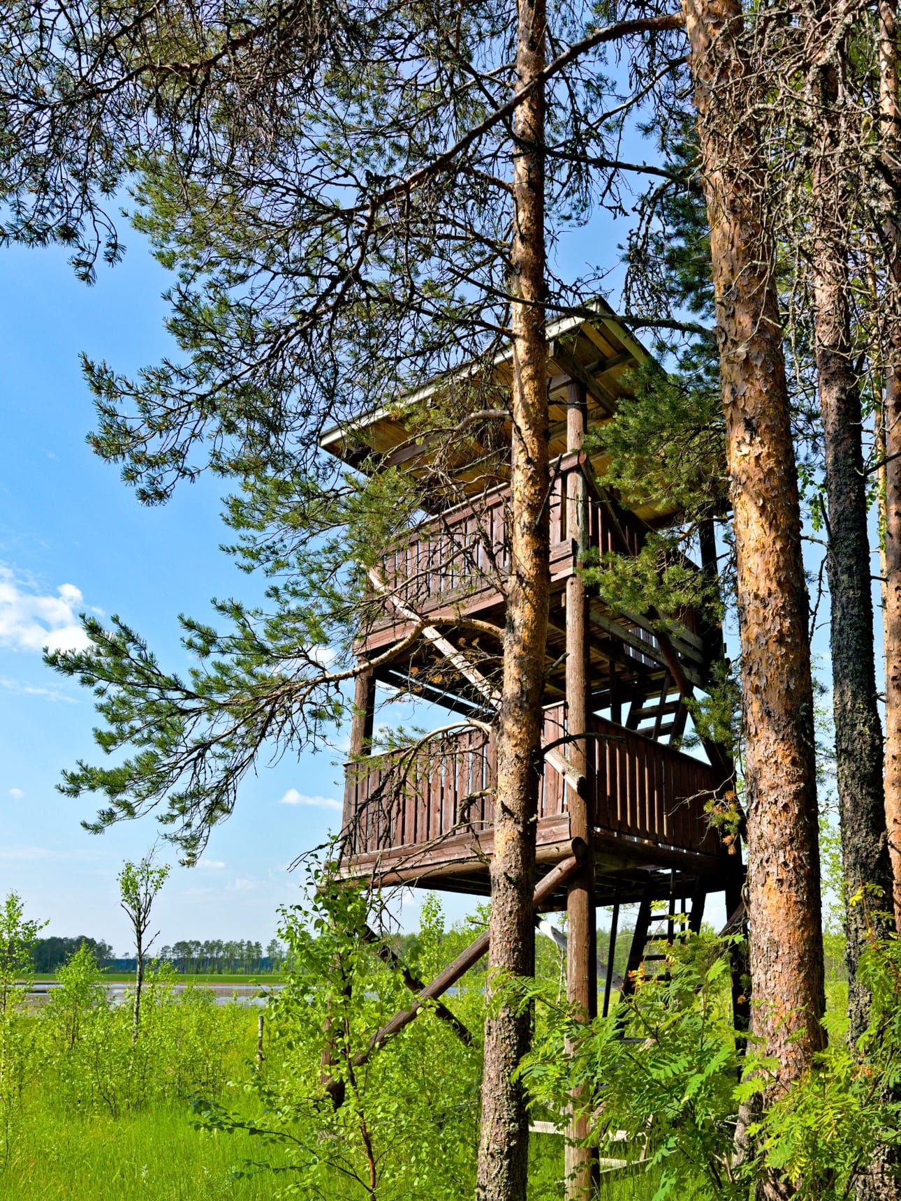 Juutislammen luontopolku, Pudasjärvi.
