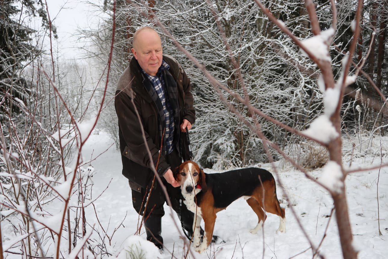 Pedersören kunnasta Jurvaan saapunut Patrik Kjellman esittelee ylpeänä ajokoiraansa Sisuajon Ursusta, joka on sekä muoto- että käyttövalio. Aivan putkeen ei parivaljakolla lauantaina mennyt.