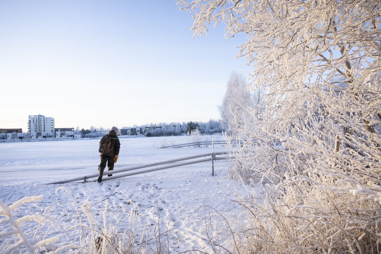 Eeli Vahtola kulkee lintujen perässä lähes päivittäin. Nyt havaintoja vauhdittaa tammikisa, jossa lajeja pitää saada kirjattua mahdollisimman paljon.