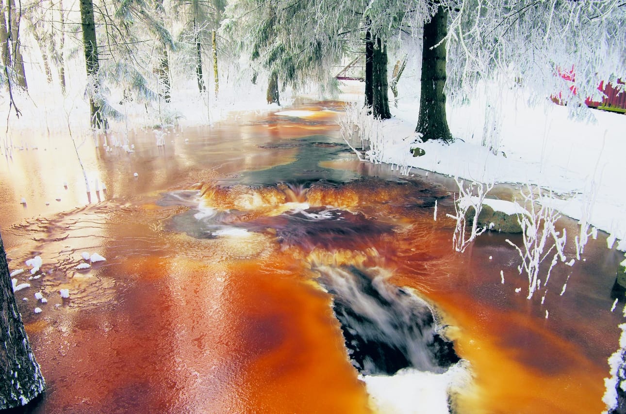 Joki jäätyy Arboretumissa.