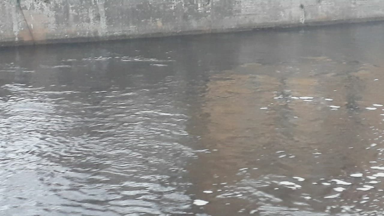 Vahva uimari