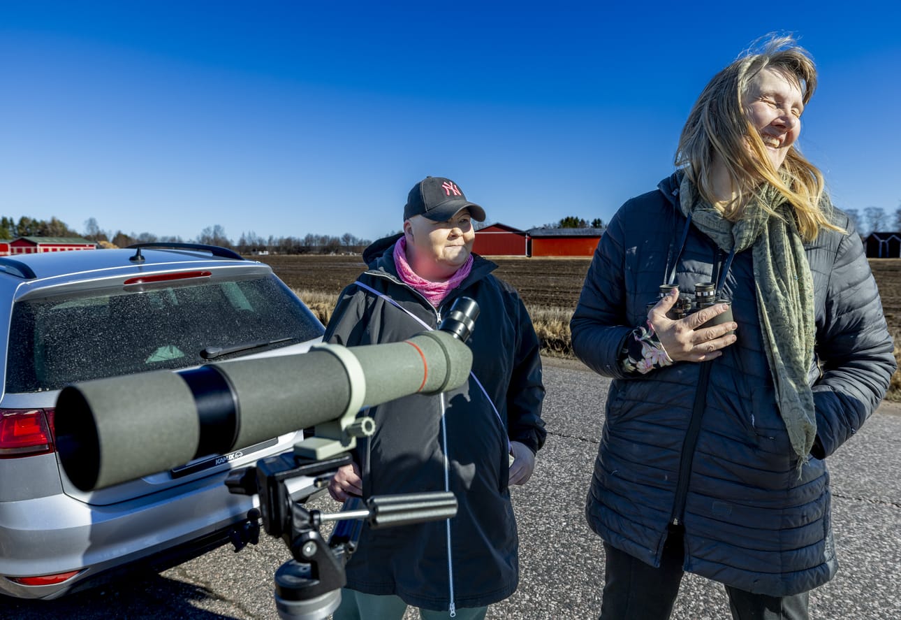Susanna Ralaste (vas.) ja Heli Virkkunen ovat Ängesleväntien varressa perjantaina iltapäivällä. Oikeat bongarit lähtevät liikkeelle, kun aamu sarastaa, ystävykset nauravat.