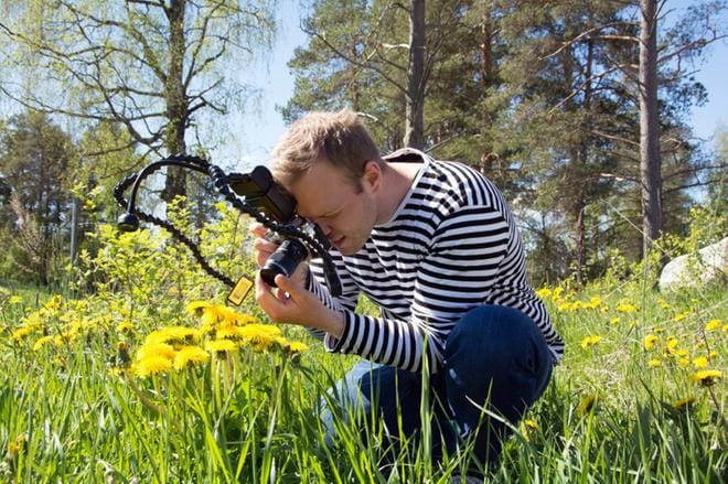 Matti Katajamäki löysi heti kuvattavaa Tuurin päiväkodin vieressä sijaitsevalta pellolta. KUVA: KAROLIINA SYRJÄ