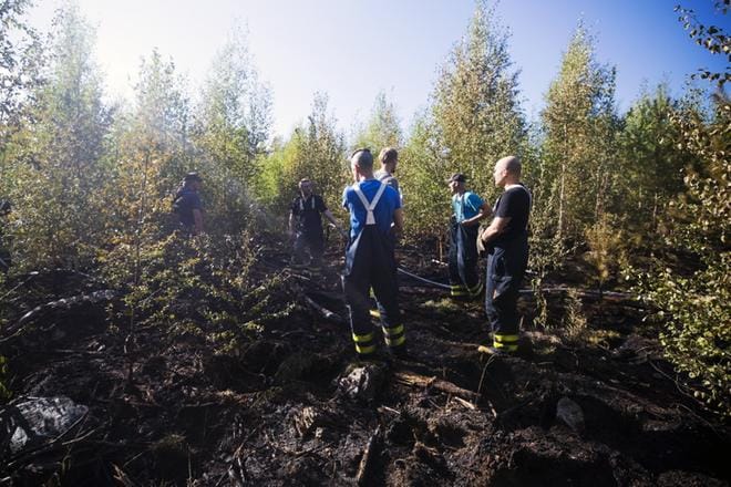 Ylimarkun ja Lapväärtin vapaapalokuntalaiset sammuttivat salaman sytyttämän koivikon Närpiössä. KUVA: JARNO PELLINEN