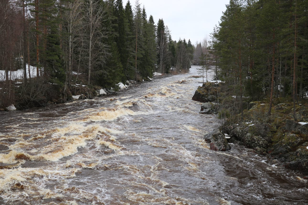Pyhänkosken pauhu kuuluu kauas.