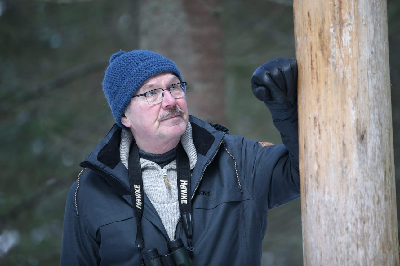 Pitkiä päiviä metsässä viettävä Hannu Siitonen sulautuu valokuvatessaan luontoon täysin. - Sillä tavalla saavuttaa esimerkiksi metson luottamuksen.