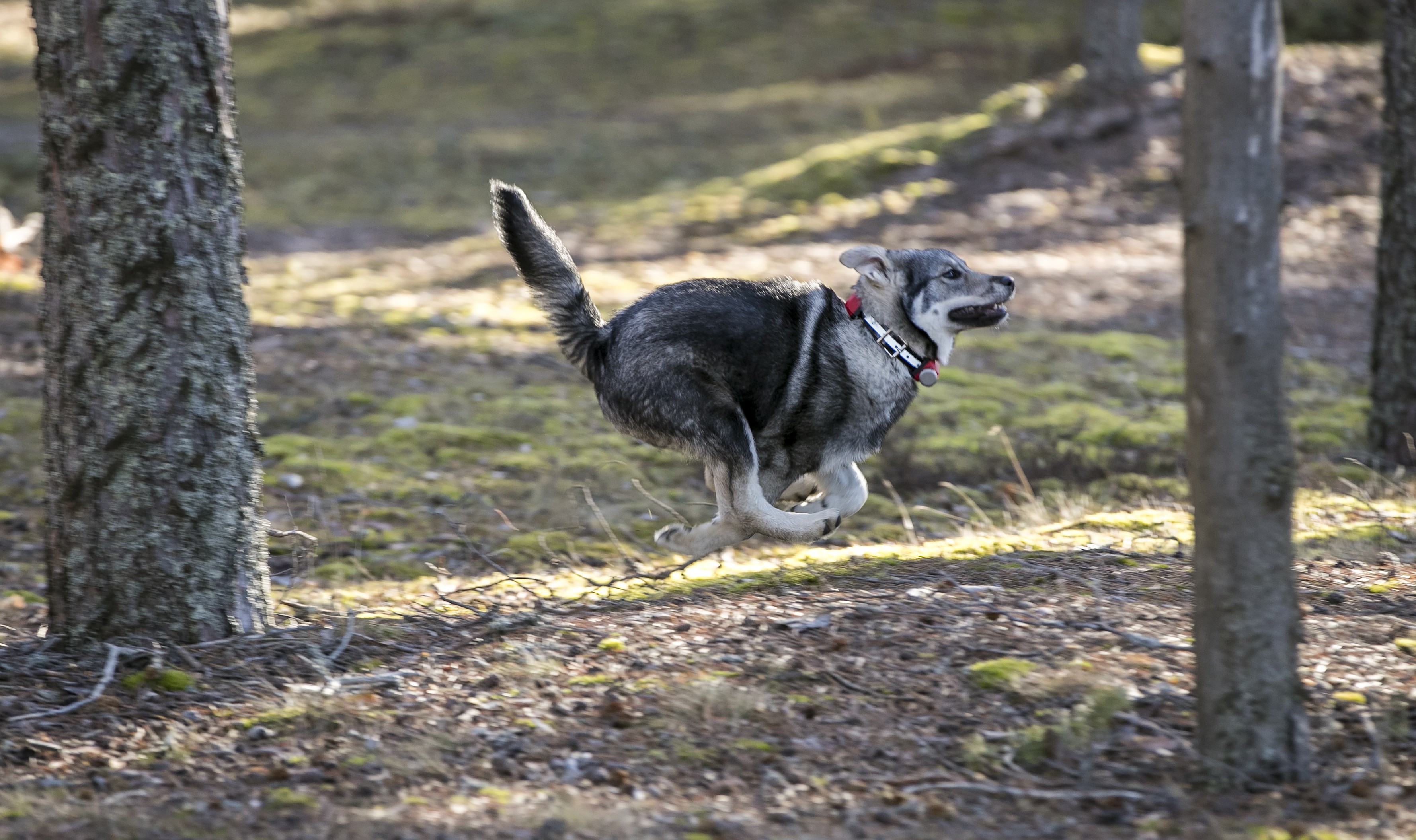 Open Air Group yhdistää kempeleläisen Ultracomin ja oulunsalolaisen Tracker Oy:n voimat – "Hyödynnämme kummankin yrityksen vahvuuksia"