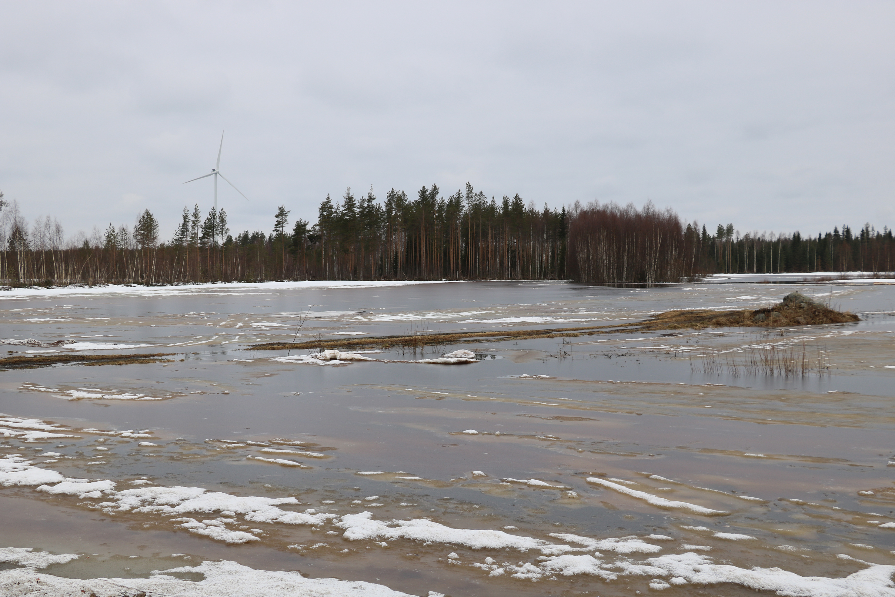 Turvealueet Merijärvellä ovat nyt kuin meri.