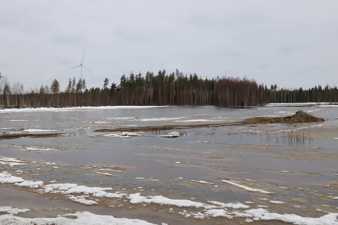Turvealueet Merijärvellä ovat nyt kuin meri.