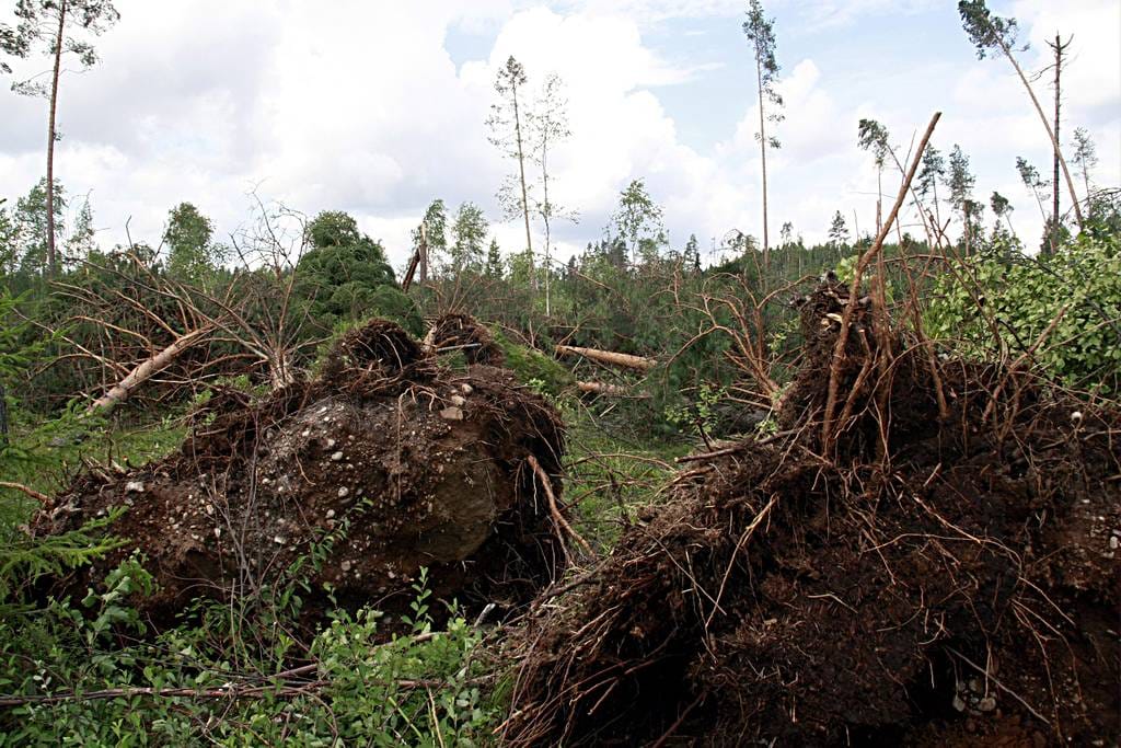 Myrskytuhoja 6-tien vieressä Rautjärvellä.