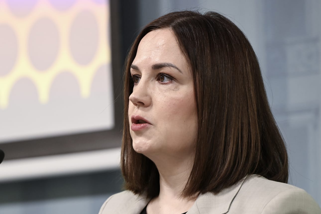 Sosiaaliturvaministeri Sanni Grahn-Laasonen mukaan tämänhetkinen asiantuntija-arvio on, että andes-tyypin hantaviruksen muodostama riski kansalaisille on erittäin pieni.