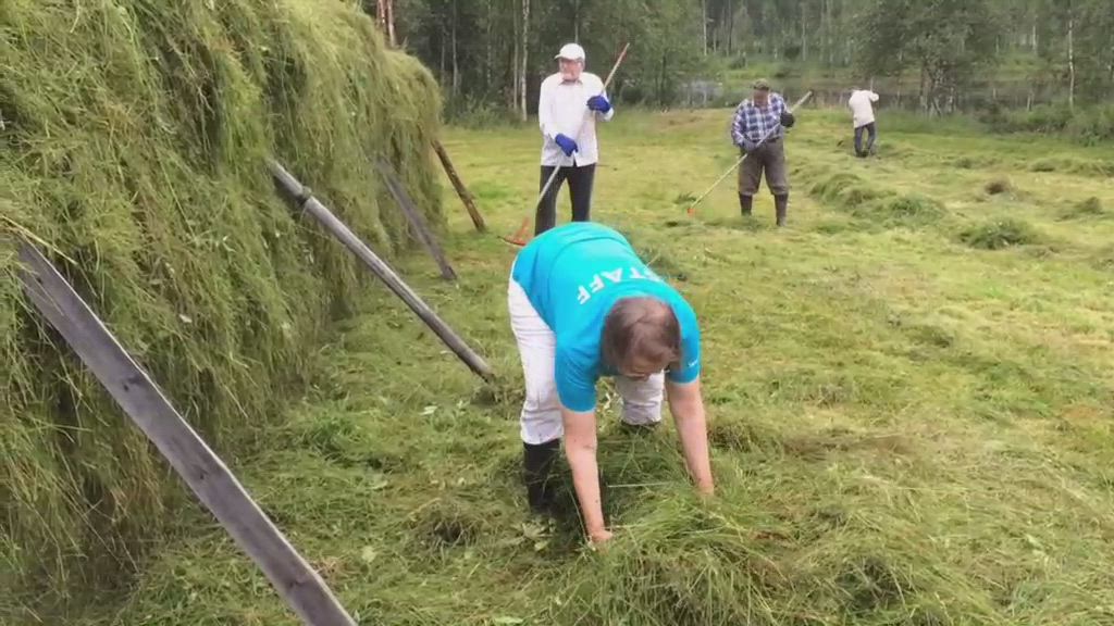 Perinteistä heinäntekoa Sodankylässä