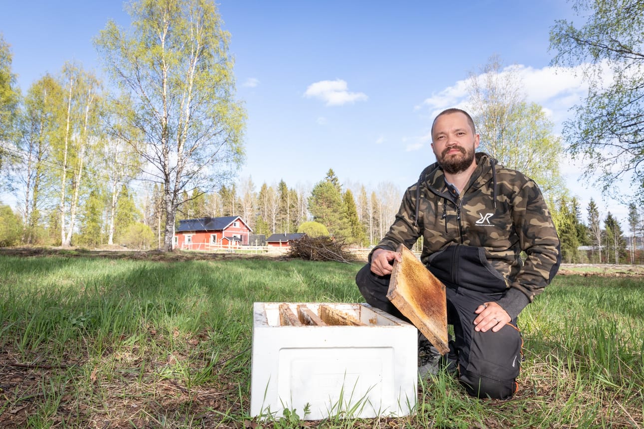Janne Immosen tavoitteena on lisätä mehiläispesiä joka vuosi, kunnes hänellä on vähintään 25 pesää. Sen verran vielä pystyy hoitamaan päivätyön ohella.