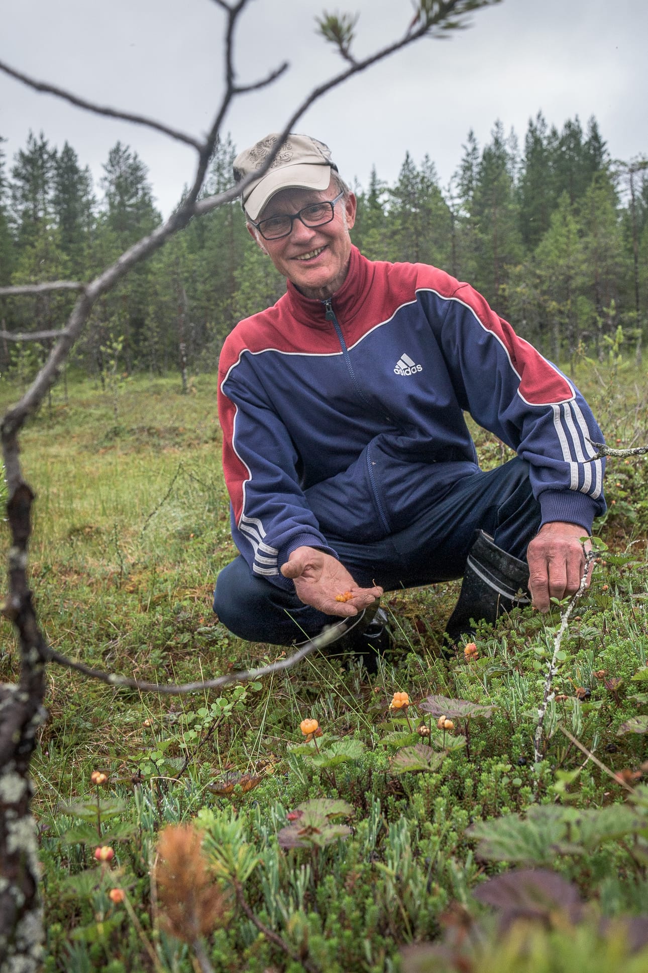 Tauriaisen mukaan vesistöjen lähellä pakkanen ei ole päässyt vikuuttamaan hilloja.
