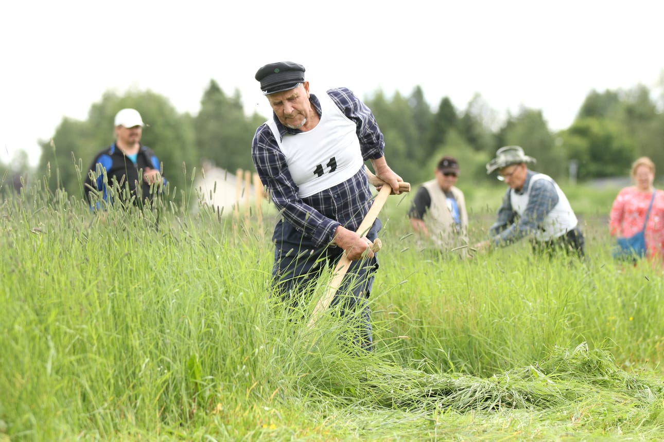 Kilpailijat kentällä.