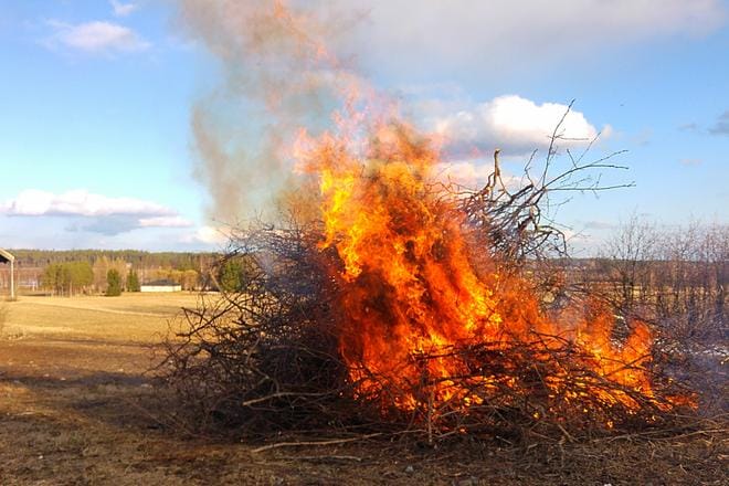 Perheemme ensimmäinen oma pääsiäsikokko. Lukijan kuva: Ellinoora Hautala