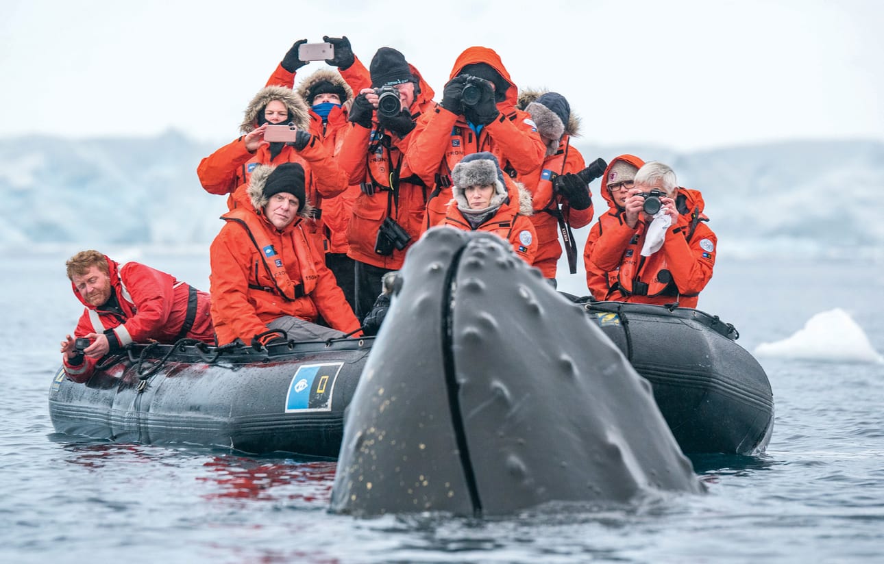 Luksustutkimusmatkoista kovan hinnan maksaneet turistit yritetään viedä mahdollisimman lähelle arktista ja antarktista luontoa. Täyteen palveluun kuuluvat niin samppanjat, kumiveneet kuin retkeilyvarusteetkin.