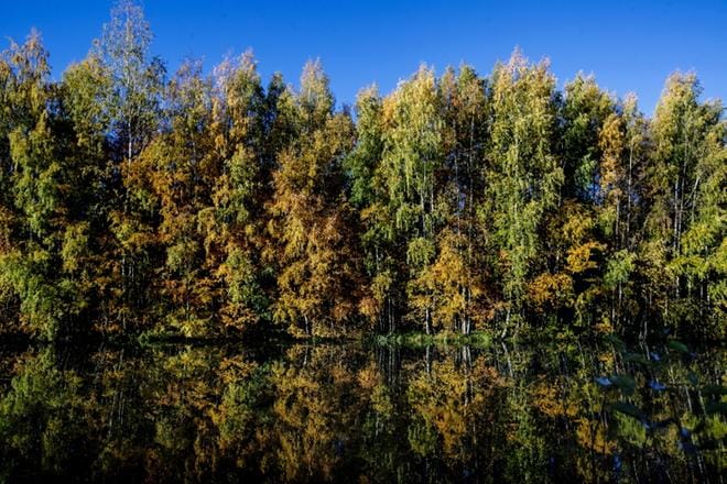 Lämpöaalto vyöryy viikonloppuna jo ruskan väreihin pukeutuneen Etelä-Pohjanmaan maisemiin, jos Ilmatieteen laitoksen ennuste pitää pintansa. KUVA: JAAKKO ELENIUS