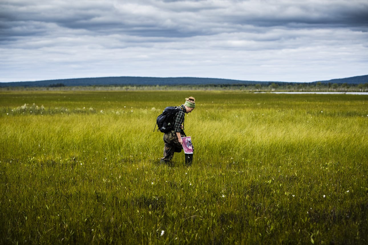 Sallassa inventoitiin lettosoita vuonna 2020. Biologi Lauralotta Muurinen tarkasteli lettosuon kasvistoa. Arkistokuva.